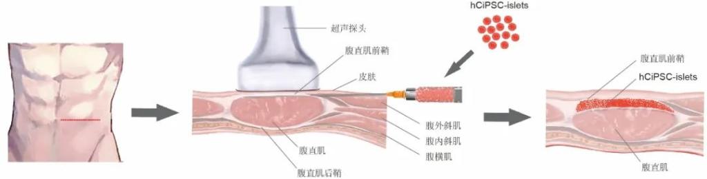 欧博abg - 官方网址登录入口